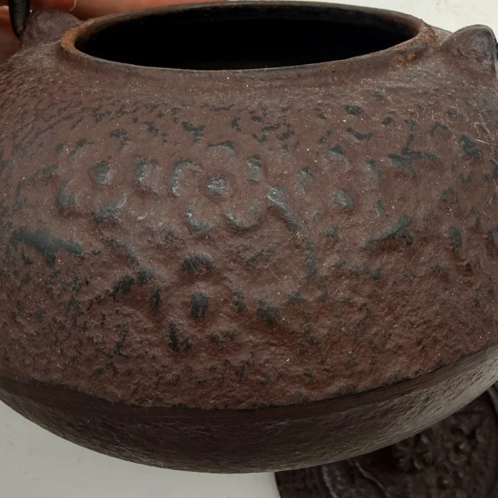 VTG‎ Japanese Cast Iron Teapot Embossed Leaf Design Brown Asian Style
